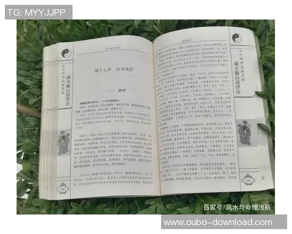 足球历史的书籍探寻与回顾从起源到现代的精彩瞬间与传奇人物